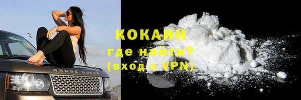 дживик Гусь-Хрустальный
