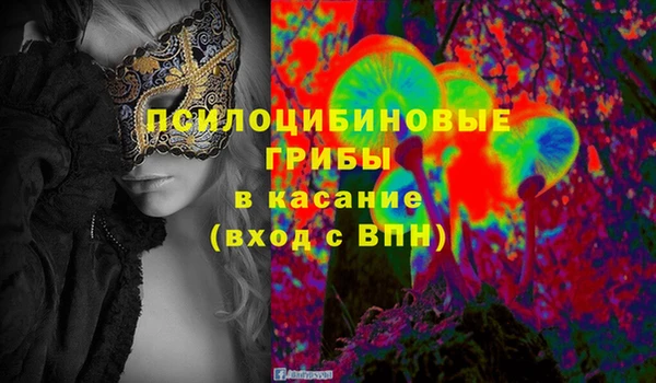 соль ск Гусиноозёрск