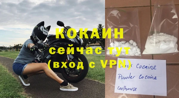 ALPHA-PVP Гусев