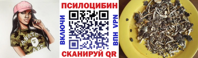 Галлюциногенные грибы Psilocybe  Избербаш 