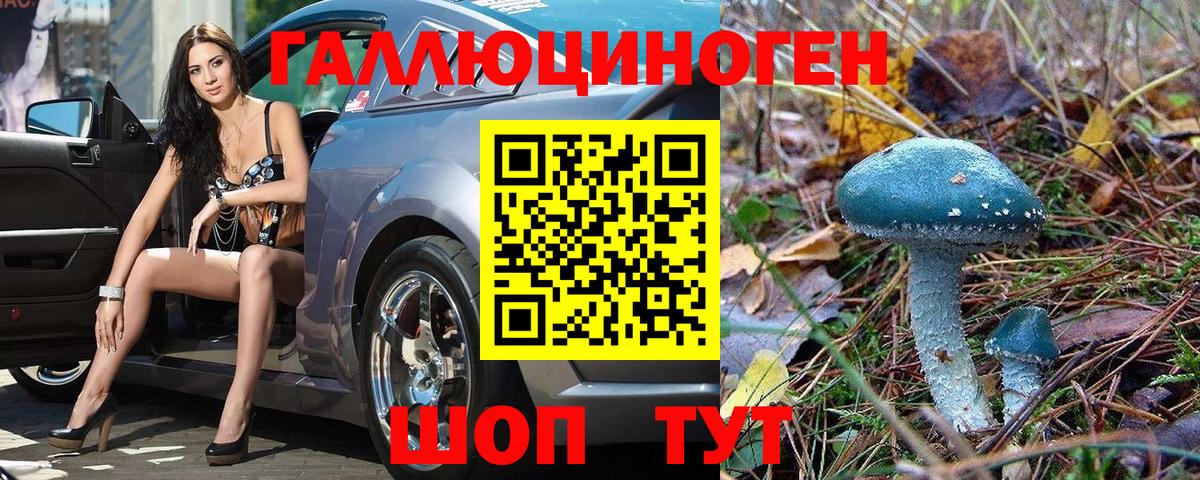 Избербаш  Псилоцибиновые грибы Magic Shrooms  Вход с VPN 