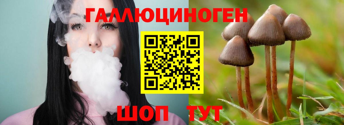 Галлюциногенные грибы ЛСД Избербаш